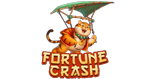 Fortune Crash